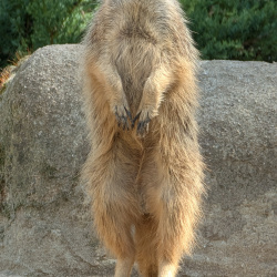 Tierpark Herford